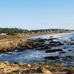 Cambria_0180 (November 05, 2011)